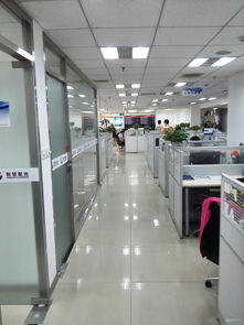 从笔试到入职 前台登记与看准网在互联网信息服务中的角色